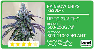 Explore the World of Marijuana Seeds in Wyoming Explore the World of Marijuana Seeds in Wyoming