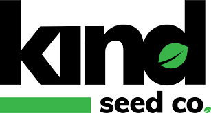 Explore the World of Marijuana Seeds in Wyoming Explore the World of Marijuana Seeds in Wyoming